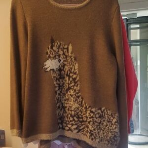 DG2 by Diane Gilman Brown Alpaca Sweater